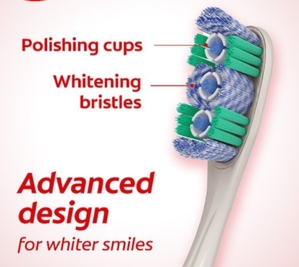 Toothbrush with Rubber Polishing Cups